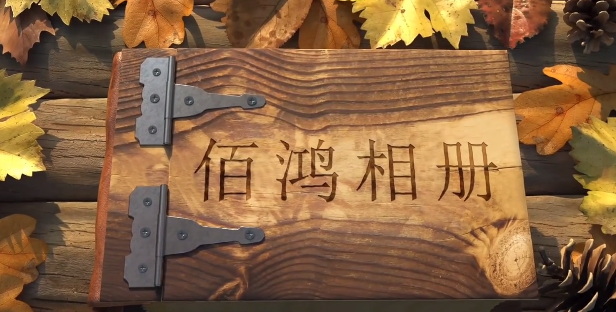 九年，從破土而出到碩果累累，從深耕再生醫(yī)學(xué)，到擁有多項(xiàng)技術(shù)專利，從術(shù)業(yè)專攻，到涉獵三大領(lǐng)域九年，時(shí)間長(zhǎng)河里的滄海一粟對(duì)于我們卻是3千多日日夜夜未來，我們有更多鴻圖…