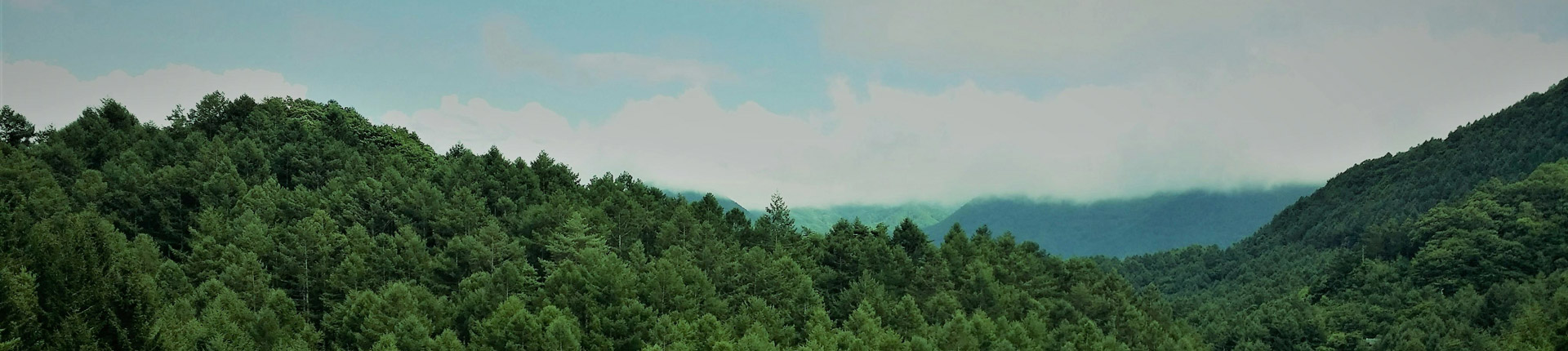 社會(huì)責(zé)任